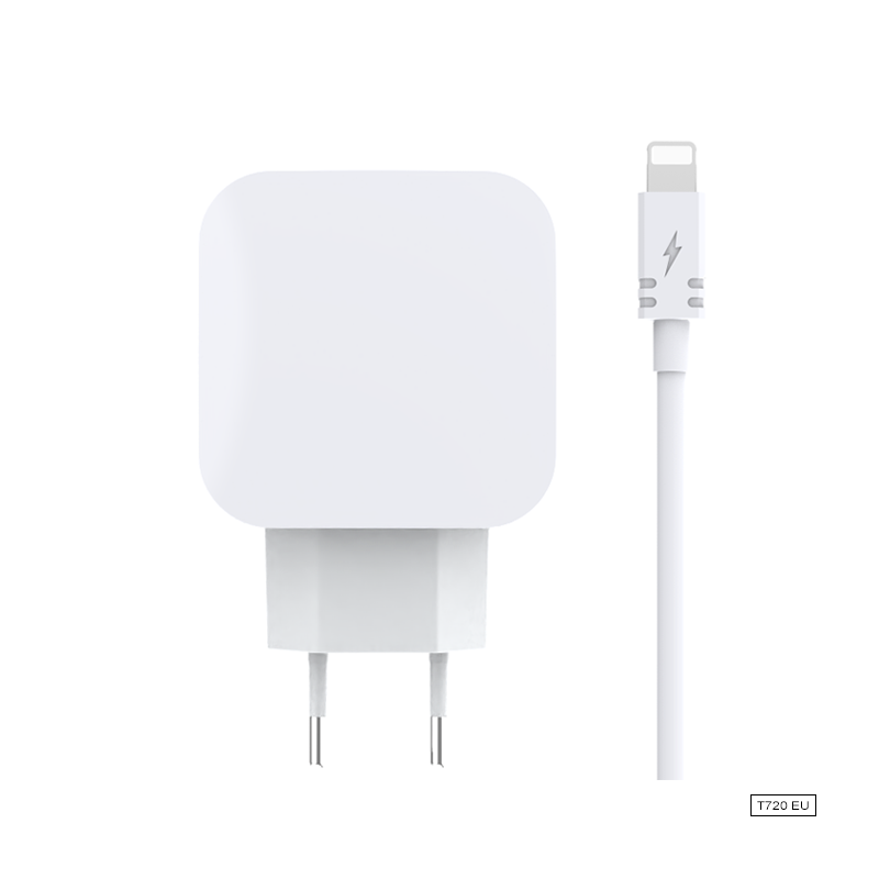 2.1A/1A Dual USB charger+Charging cable